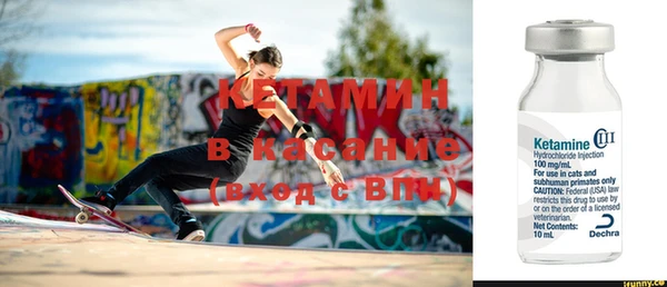 прущие грибы Балабаново