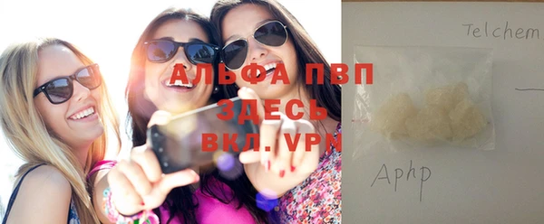 прущие грибы Балабаново