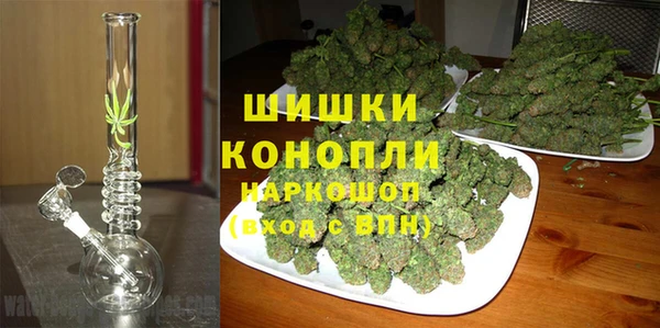 прущие грибы Балабаново