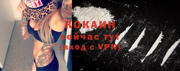 дживик Баксан