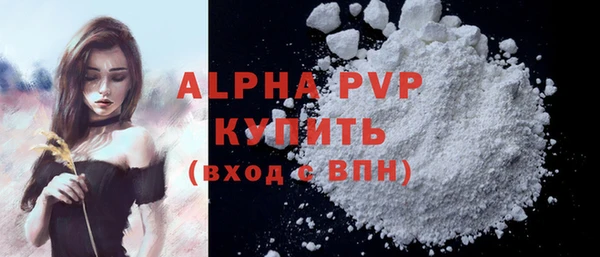 прущие грибы Балабаново